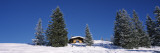 Trees on a Snow Covered Landscape, Kitzbuhel, Westendorf, Tirol, Austria Photographic Print by Panoramic Images 