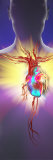 Illustrative Representation of Heart Attack Photographic Print by Panoramic Images 