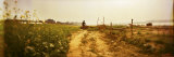 Man Carrying Water from Ganges River to Farmland, Varanasi, Uttar Pradesh, India Photographic Print by Panoramic Images 