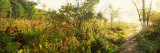 Footpath Passing Through a Forest, Pokagon State Park, Indiana, USA Photographic Print by Panoramic Images 