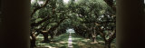 Oak Trees in Front of a Mansion, Oak Alley Plantation, Vacherie, Louisiana, USA Photographic Print by Panoramic Images 