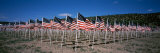 American Flags Laid Out in a Field, Questa, Taos County, New Mexico, USA Lámina fotográfica por Panoramic Images