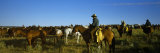 Cowboys Riding Horses in a Field Photographic Print by Panoramic Images 