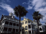 Palm Trees in Front of Buildings, Charleston, Charleston County, South Carolina, USA Photographic Print