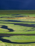 Steppeland, A Lone Horse Herder Out on the Steppeland, Mongolia Fotografisk tryk af Paul Harris Steppeland, A Lone Horse Herder Out on the Steppeland, Mongolia Fotografisk tryk af Paul Harris