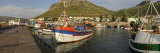 Fishing Boats at a Harbor, Kalk Bay, False Bay, Cape Town, Western Cape Province, South Africa Photographic Print by Panoramic Images 