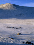 Bayan-Olgii Province, Yurts in Winter, Mongolia Photographic Print by Paul Harris