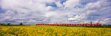 Commuter Train Passing Through Oilseed Rape Fields, Baden-Wurttemberg, Germany Photographic Print by Panoramic Images 