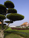 Chiang Kai-Shek Memorial Park National Theatre, Taiwan Lámina fotográfica por Christian Kober