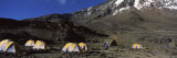 Tents on a Plateau, Shira Plateau, Mt Kilimanjaro, Kilimanjaro National Park, Tanzania Lámina fotográfica por Panoramic Images Tents on a Plateau, Shira Plateau, Mt Kilimanjaro, Kilimanjaro National Park, Tanzania Lámina fotográfica por Panoramic Images