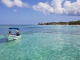 Bay Islands, Roatan, West Bay, Honduras Photographic Print by Jane Sweeney
