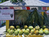 Coconut Daiquiri Stall at Port Lucaya on Grand Bahama, the Bahamas Photographic Print by William Gray