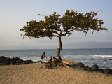 Acacia Tree on the Edge of the City of Sao Tomé, Where Young People Go to Bathe Photographic Print by Camilla Watson