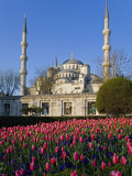 Blue Mosque, also known as the Sultanahmet Mosque, Gives its Name to the Surrounding Area Photographic Print by Julian Love