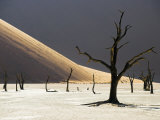 Blackened Camelthorn Trees in Dead Vlei, Near Sossusvlei, Namibia Photographic Print by Julian Love