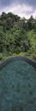 View of a Swimming Pool, Ubud Hanging Gardens, Ayung Valley, Ubud, Bali, Indonesia Photographic Print by Panoramic Images 