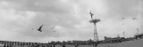 Tourists on the Beach, Coney Island, Brooklyn, New York City, New York State, USA Reprodukcja zdjęcia autor Panoramic Images Tourists on the Beach, Coney Island, Brooklyn, New York City, New York State, USA Reprodukcja zdjęcia autor Panoramic Images