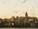 Seagulls Flock Above the Golden Horn, Istanbul, with the Galata Tower in the Background Photographic Print by Julian Love