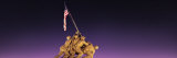War Memorial at Twilight, Iwo Jima Memorial, Rosslyn, Arlington, Arlington County, Virginia, USA Photographic Print by Panoramic Images 