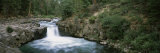 Waterfall in a Forest, Mccloud Falls, Lower Falls, Mt Shasta, California, USA Photographic Print by Panoramic Images 