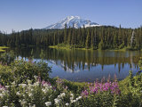 Reflection of Mountain and Trees in Lake, Mt Rainier National Park, Washington State, USA Photographie