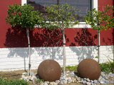 Interesting Exterior Garden in Swakopmund, a Seaside Town on Namibia's Atlantic Coast Photographic Print by Nigel Pavitt