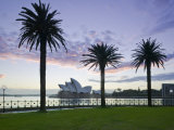 New South Wales, Sydney, Sydney Opera House Through Palms, Australia Photographic Print by Walter Bibikow
