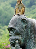 Hainan Province, Hainan Island, Monkey Island Research Park - a Gorilla Statue, China Photographic Print by Christian Kober
