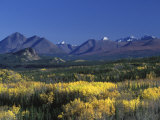 Fall Colours over Denali National Park, Alaska, USA Photographic Print by John Warburton-lee