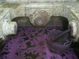 Grape Juice During the Port Wine Process Separated from Pulp, September Wine Harvest, Portugal Fotografie-Druck von Camilla Watson