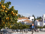 Alentejo, Vila Vicosa, it Is Spring in Small Town of Vila Vicosa in Alentejo Region of Portugal Photographic Print by Camilla Watson