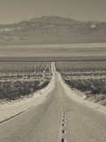 California, Mojave Desert, Amboy Road, USA Fotografie-Druck von Walter Bibikow
