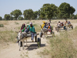 Mopti, Farmers Return to their Village Near Mopti on Donkey-Drawn Carts, Mali Photographic Print by Nigel Pavitt