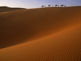 Tenere Desert, Camel Caravan Travelling Through the Air Mountains and Tenere Desert, Niger Fotografisk tryk af Paul Harris Tenere Desert, Camel Caravan Travelling Through the Air Mountains and Tenere Desert, Niger Fotografisk tryk af Paul Harris