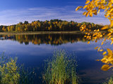 Minnesota, Lake Winnibigoshish, Chippewa National Forest, Northern Minnesota, USA Fotografisk tryk af Paul Harris Minnesota, Lake Winnibigoshish, Chippewa National Forest, Northern Minnesota, USA Fotografisk tryk af Paul Harris