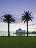 New South Wales, Sydney, Sydney Opera House Through Palms, Australia Photographic Print by Walter Bibikow