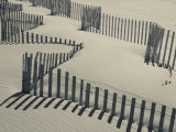 New York, Long Island, the Hamptons, Westhampton Beach, Beach Erosion Fence, USA Photographic Print by Walter Bibikow