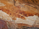 Northern Territory, Ancient Aboriginal Art of the Aranda People at Wallace Rockhole, Australia Fotografie-Druck von Nigel Pavitt