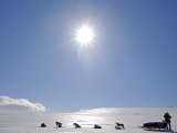 Troms, Lyngen Alps, Travel over the Mountains of the Lyngen Alps Via Dog Sled, Norway Photographic Print by Mark Hannaford