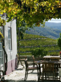 Quinta Nova De Nossa Senhora Do Carmo Estate in Northern Portugal in the Renowned Douro Valley Photographie par Camilla Watson