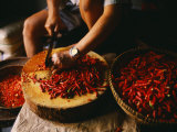 Shop Owner Chopping Red Chili Peppers in Cholon, Ho Chi Minh City Photographic Print by Paul Harris