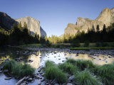 California, Yosemite National Park, Merced River, El Capitan and Valley View, USA Fotografie-Druck von Michele Falzone