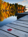 Maine, Baxter State Park, Lake Millinocket, USA Photographic Print by Alan Copson