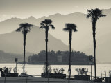 Piedmont, Lake Maggiore, Borromean Islands, Stresa, Lakefront Palms with Isola Bella, Italy Photographic Print by Walter Bibikow