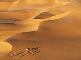 Tenere Desert, Camel Caravan Travelling Through the Air Mountains and Tenere Desert, Niger Photographie par Paul Harris