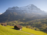 Alpine Meadow, Eiger and Grindelwald, Berner Oberland, Switzerland Photographic Print by Doug Pearson