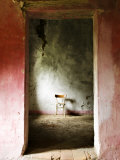 Chair in a Deserted Farm Near San Quirico D'Orcia, Valle De Orcia, Tuscany, Italy Photographie par Nadia Isakova