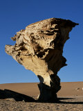 Arbol De Piedra or Stone Tree Is a Massive Wind-Eroded Boulder, 8 Metres High That Rises Above the  Photographic Print by John Warburton-lee