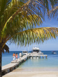 Bay Islands, Roatan, Half Moon Bay, Honduras Photographic Print by Jane Sweeney
