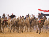 Camel in Paddock, Races Held Every Year as Part of Palmyra Festival, Syria Photographic Print by Julian Love